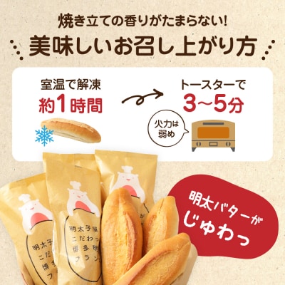 【2ヶ月に1度お届け】明太子屋がこだわった博多明太フランス　5本セット定期便【海千】_HB0005