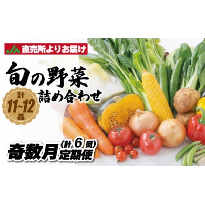【定期便/年6回/奇数月お届け】むなかた旬の野菜お任せセット(11～12品)_PB0026 | ふるさと納税のお礼品