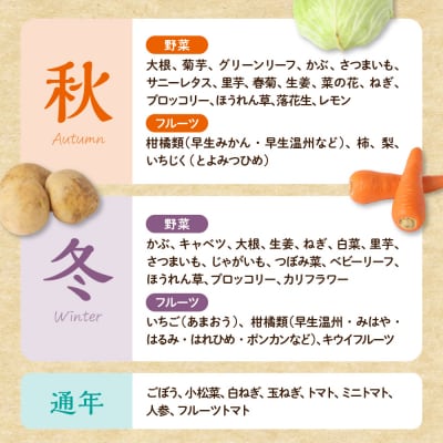 【定期便/年12回/毎月お届け】むなかた旬のお任せセット【ほたるの里】_HB0029
