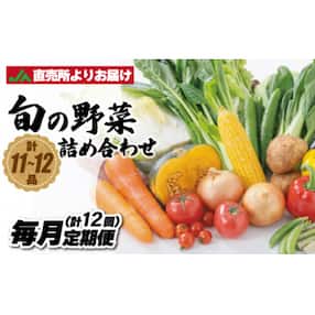 【定期便/年12回/毎月お届け】むなかた旬の野菜お任せセット 【ほたるの里】_PB0027