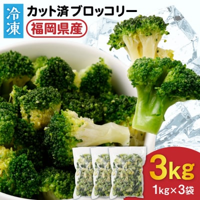 JAむなかたブロッコリー部会より!冷凍ブロッコリー3kg(1kg×3袋)【ほたるの里】_HA0623