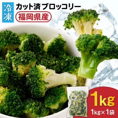 JAむなかたブロッコリー部会より!冷凍ブロッコリー1kg【ほたるの里】_HA0621