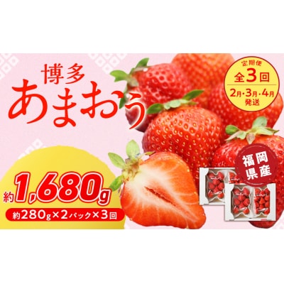 【定期便/3ヶ月連続お届け】博多あまおう 約280g×2パック 【ほたるの里】_HB0075