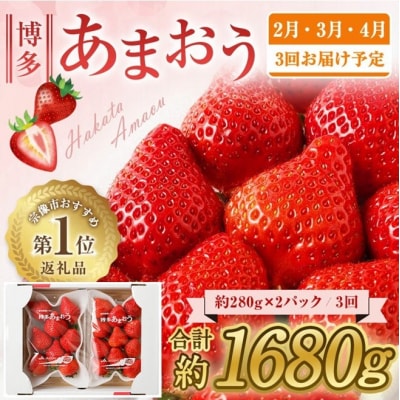 【3回毎月お届け】アフター保証 博多あまおう 約280g×2P【ほたるの里】_HB0075