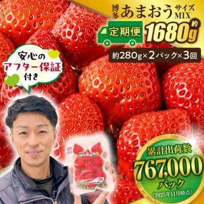 【3回毎月お届け】アフター保証 博多あまおう 約280g×2P【ほたるの里】_HB0075