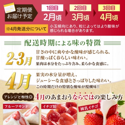 【3回毎月お届け】アフター保証 博多あまおう 約280g×2P【ほたるの里】_HB0075