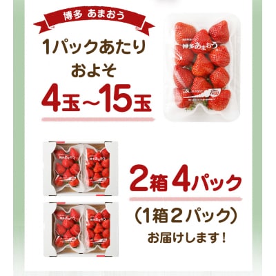 【3回毎月お届け】アフター保証 博多あまおう 約280g×2P【ほたるの里】_HB0075