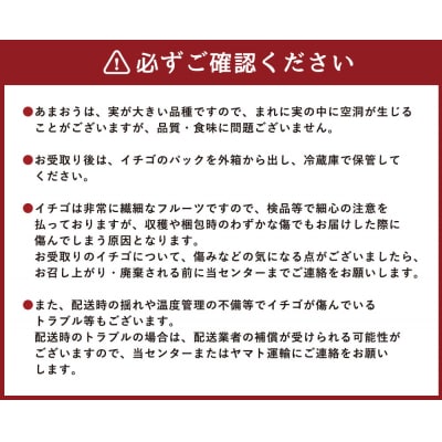 【3回毎月お届け】アフター保証 博多あまおう 約280g×2P【ほたるの里】_HB0075