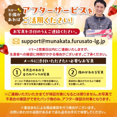 【3回毎月お届け】アフター保証 博多あまおう 約280g×2P【ほたるの里】_HB0075