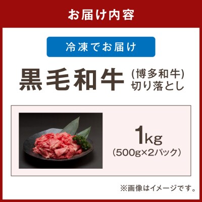博多和牛　赤身切り落とし1kg(500g×2パック)【伊豆丸商店】_HA0726