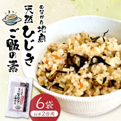 【道の駅むなかた】むなかた地島 天然ひじきご飯の素(6袋)_HA0773