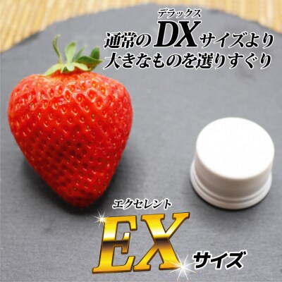 12月発送!「博多あまおう」EX　贈答用化粧箱　約450g 2箱【ほたるの里】_HA0755