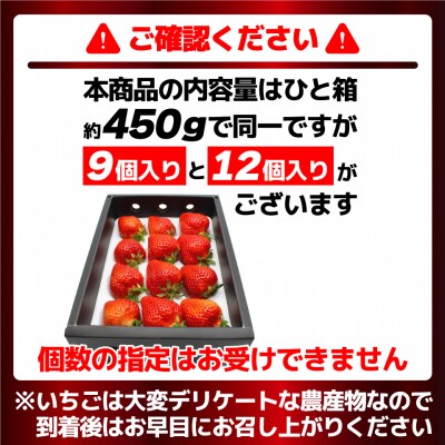 12月発送!「博多あまおう」EX　贈答用化粧箱　約450g 2箱【ほたるの里】_HA0755