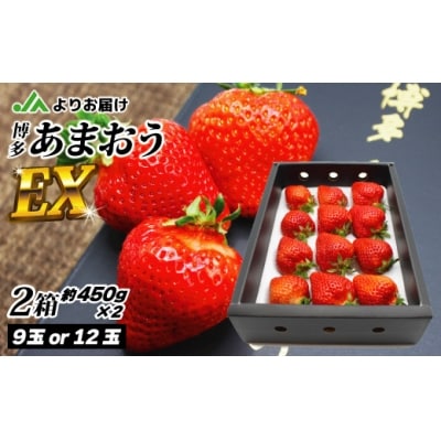 1月より順次発送!「博多あまおう」EX　贈答用化粧箱　約450g 2箱【ほたるの里】_HA0753