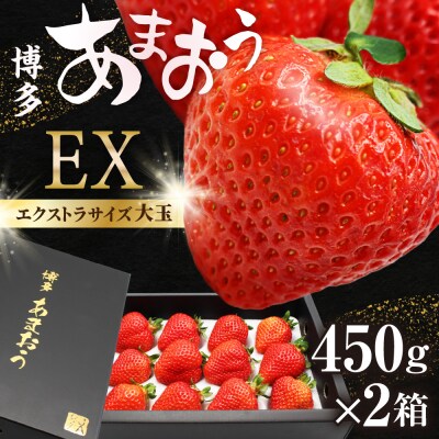 1月より順次発送!「博多あまおう」EX　贈答用化粧箱　約450g 2箱【ほたるの里】_HA0753