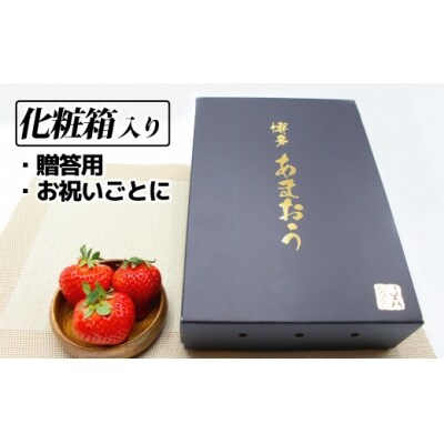 1月より順次発送!「博多あまおう」EX　贈答用化粧箱　約450g 2箱【ほたるの里】_HA0753