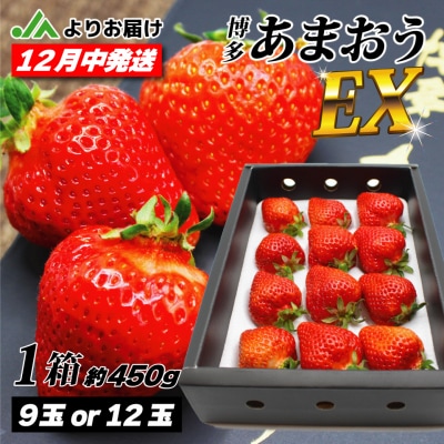 12月発送!「博多あまおう」EX　贈答用化粧箱　約450g 1箱【ほたるの里】_HA0754