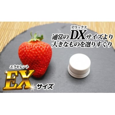 12月発送!「博多あまおう」EX　贈答用化粧箱　約450g 1箱【ほたるの里】_HA0754