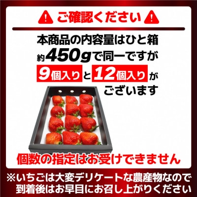 12月発送!「博多あまおう」EX　贈答用化粧箱　約450g 1箱【ほたるの里】_HA0754