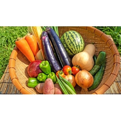 【一週間以内に発送】宗像とれたて　野菜・たまごセット【オアシス】_HA0778