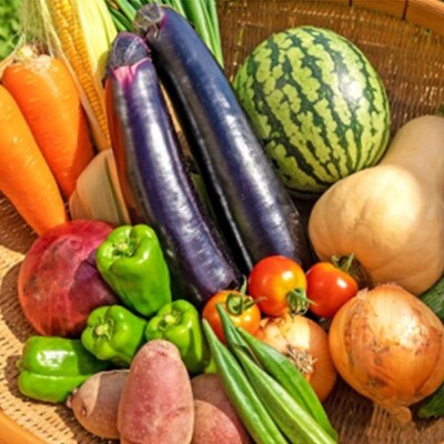 【一週間以内に発送】宗像とれたて　野菜・たまごセット【オアシス】_HA0778