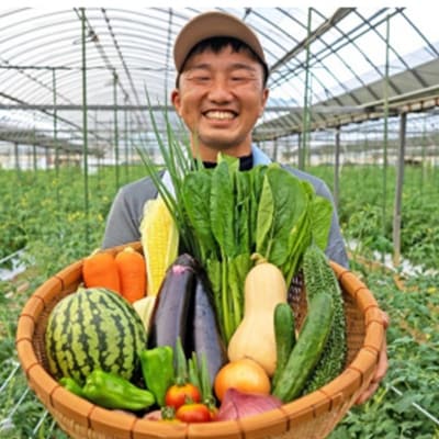【一週間以内に発送】宗像とれたて　野菜・たまごセット【オアシス】_HA0778