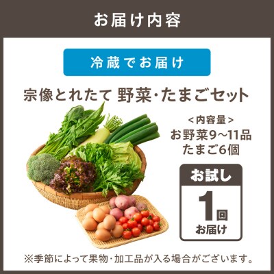 【一週間以内に発送】宗像とれたて　野菜・たまごセット【オアシス】_HA0778
