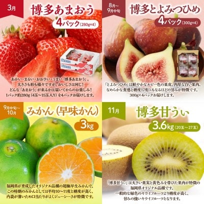 【定期便/年4回】旬の福岡フルーツ定期便【ほたるの里】_HB0087