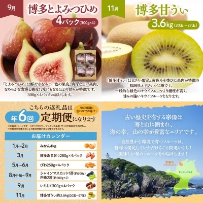 【定期便/年6回】むなかた旬のフルーツ6回定期便【ほたるの里】_HB0090