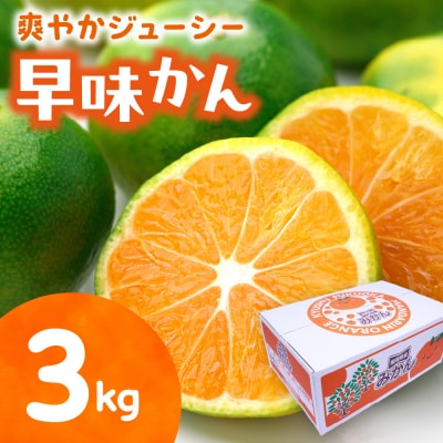 福岡県ブランド 極早生みかん「早味かん」3kg【JAほたるの里】_HA0886
