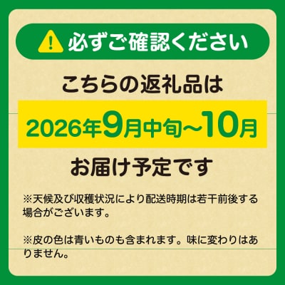 福岡県ブランド 極早生みかん「早味かん」3kg【JAほたるの里】_HA0886