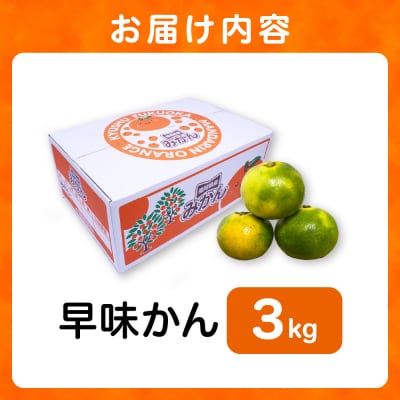福岡県ブランド 極早生みかん「早味かん」3kg【JAほたるの里】_HA0886