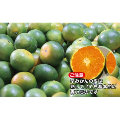 JAむなかたブランド姫神「早味かん」5kg【JAほたるの里】_HA0887