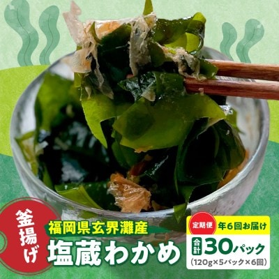 【定期便/年6回/奇数月お届け】釜揚げ塩蔵わかめ(120g×5パック)【マサエイ水産】_HB0097