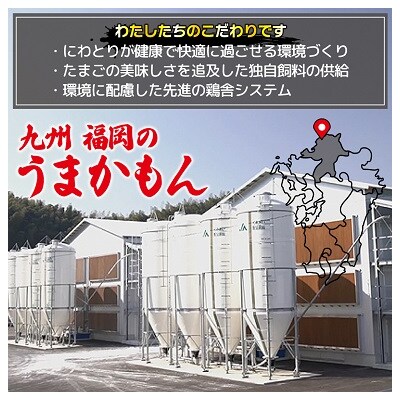 JAむなかたよりお届け!宗像たまご30個(27個+補償3個)【JAほたるの里】_HA0915