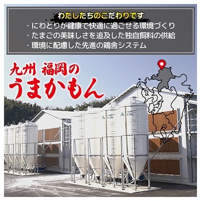 新鮮 赤卵「宗像たまご」Mサイズ 30個(27個+補償3個)【JAほたるの里】_HA0915