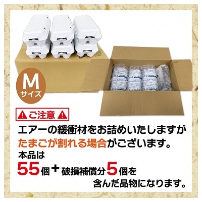 JAむなかたよりお届け!宗像たまご60個(55個+補償5個)【JAほたるの里】_HA0916