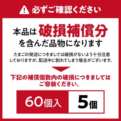 JAむなかたよりお届け!宗像たまご60個(55個+補償5個)【JAほたるの里】_HA0916