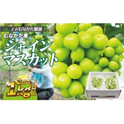 JAむなかた厳選【むなかた産シャインマスカット】2房(1kg以上)【JAほたるの里】_HA0914