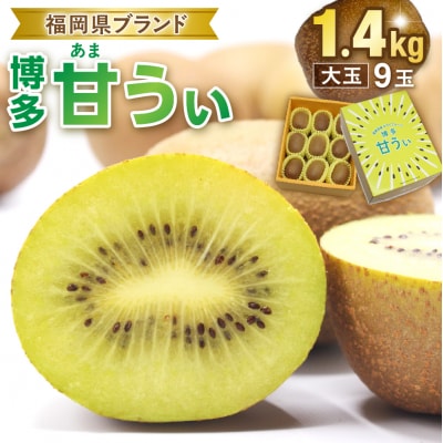 【ギフト】キウイフルーツ「博多甘うぃ」約1.4kg化粧箱入り【ほたるの里】_HA0943