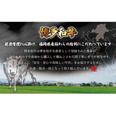 JAむなかたよりお届け!博多和牛焼肉用600g【ほたるの里】_HA0952