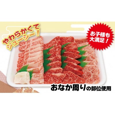 JAむなかたよりお届け!博多和牛焼肉用600g【ほたるの里】_HA0952