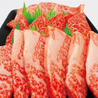 JAむなかたよりお届け!博多和牛焼肉用800g【ほたるの里】_HA0953