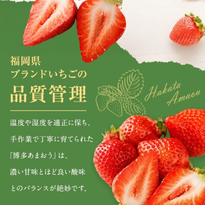 大粒!あまおう 約280g×2p【2026年2月中旬～3月お届け】【JAほたるの里】_HA0277