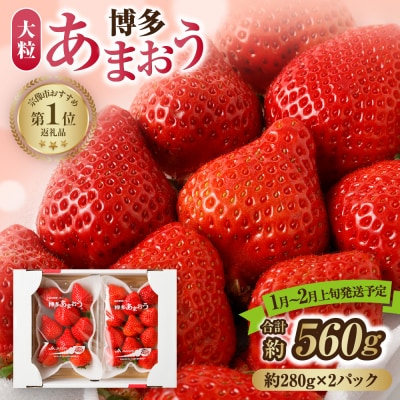 アフター保証 あまおう 約280g×2P【2026年1～2月上旬お届け】【ほたるの里】_HA0276