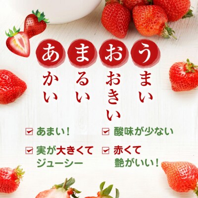 アフター保証 あまおう 約280g×2P【2026年1～2月上旬お届け】【ほたるの里】_HA0276