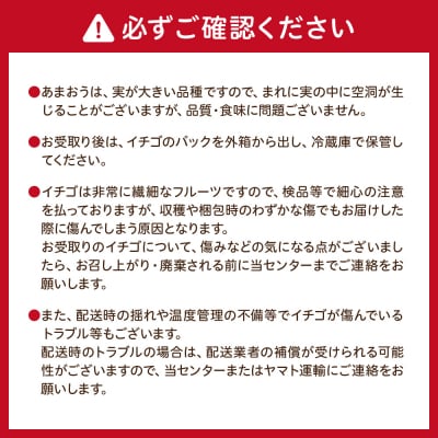 アフター保証 あまおう 約280g×2P【2026年1～2月上旬お届け】【ほたるの里】_HA0276