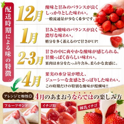 アフター保証 「博多あまおう」約280g×4パック【JAほたるの里】_HA0433