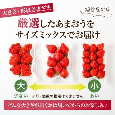 アフター保証 「博多あまおう」約280g×4パック【JAほたるの里】_HA0433