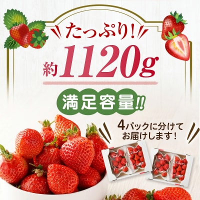 どこよりも早くお届け!12月発送「博多あまおう」約280g×4パック【ほたるの里】_HA0502